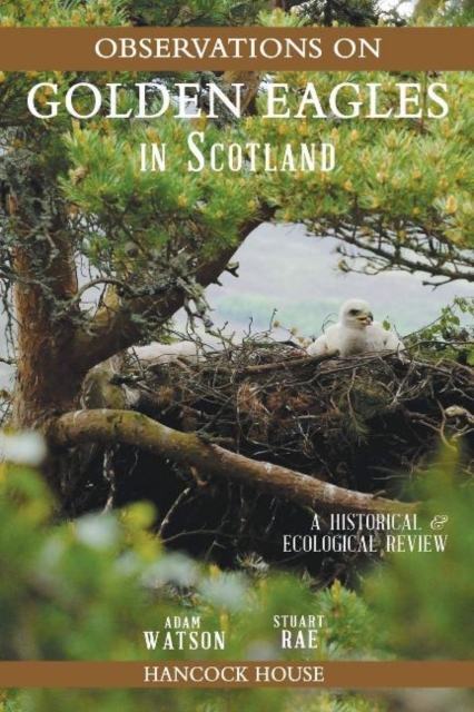 Observations on Golden Eagles in Scotland, Paperback / softback Book
