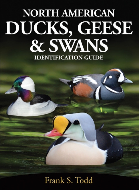 North American Ducks, Geese and Swans : identification guide, Paperback / softback Book