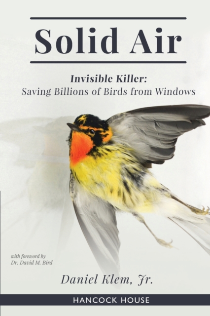 Solid Air : Invisible Killer- Saving Birds from Windows, Paperback / softback Book