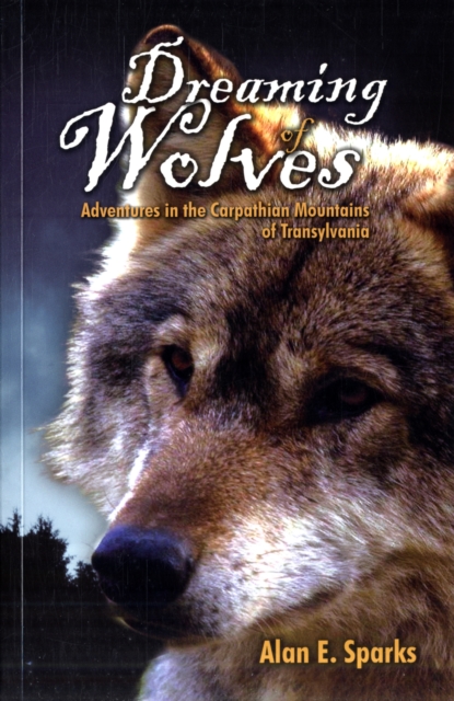 Dreaming of Wolves : Adventures in the Carpathian Mountains of Transylvania, Paperback Book