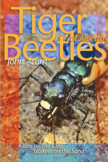 Tiger Beetles of Alberta : Killers on the Clay, Stalkers on the Sand, Paperback / softback Book