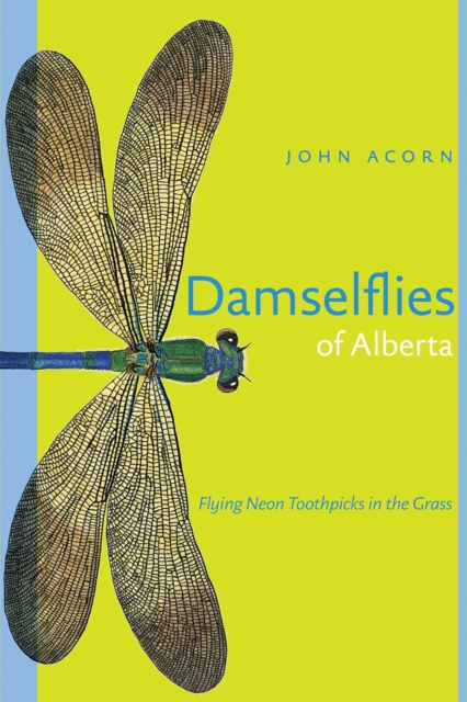 Damselflies of Alberta : Flying Neon Toothpicks in the Grass, Paperback / softback Book