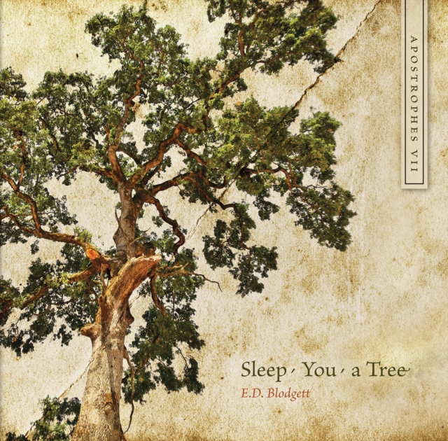 Apostrophes VII : Sleep, You, a Tree, Paperback / softback Book