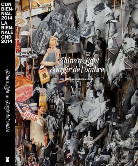 Shine a Light : Canadian Biennial 2014, Paperback Book