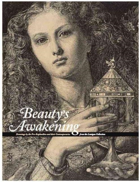 BEAUTYS AWAKENING, Paperback Book