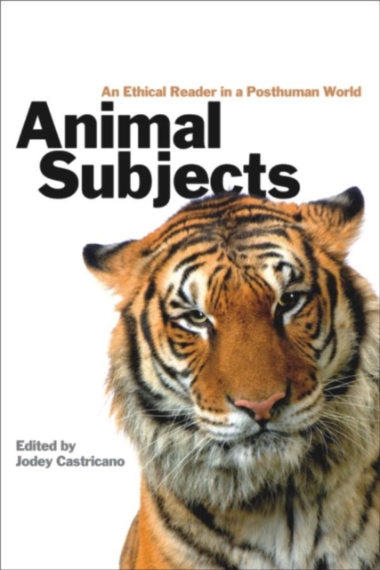 Animal Subjects : An Ethical Reader in a Posthuman World, Paperback / softback Book