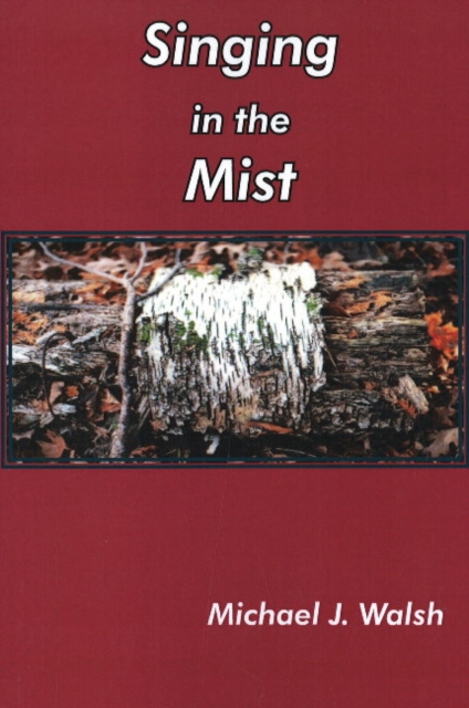 Singing in the Mist, Paperback / softback Book
