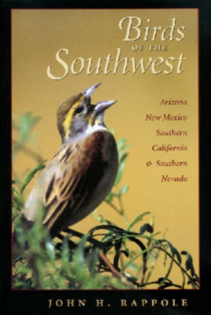 Birds of the Southwest : A Field Guide, Paperback / softback Book
