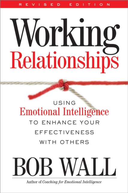 Working Relationships : Using Emotional Intelligence to Enhance Your Effectiveness with Others, Paperback / softback Book
