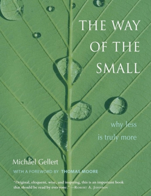 The Way of the Small : Why Less Is More, EPUB eBook