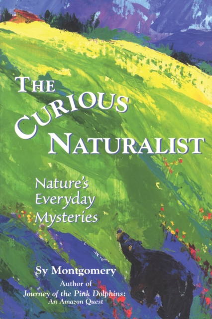 The Curious Naturalist : Nature's Everyday Mysteries, Paperback / softback Book