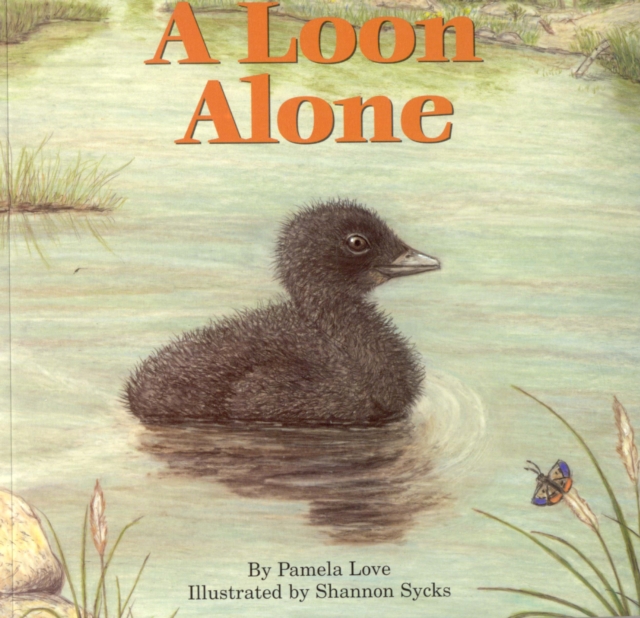 A Loon Alone, Paperback / softback Book