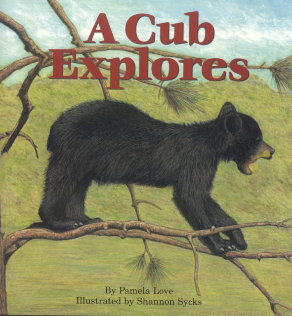 A Cub Explores, Hardback Book
