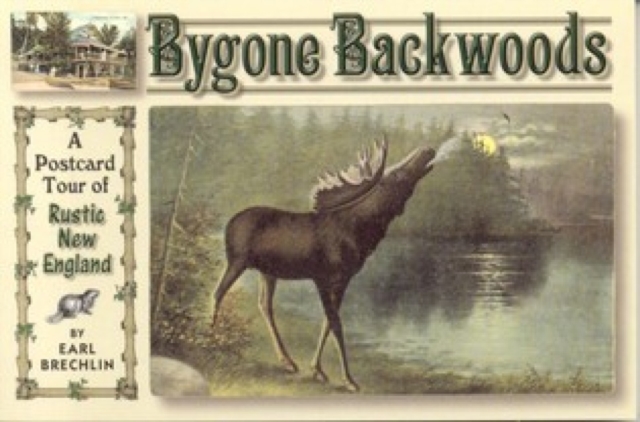 Bygone Backwoods, Paperback / softback Book