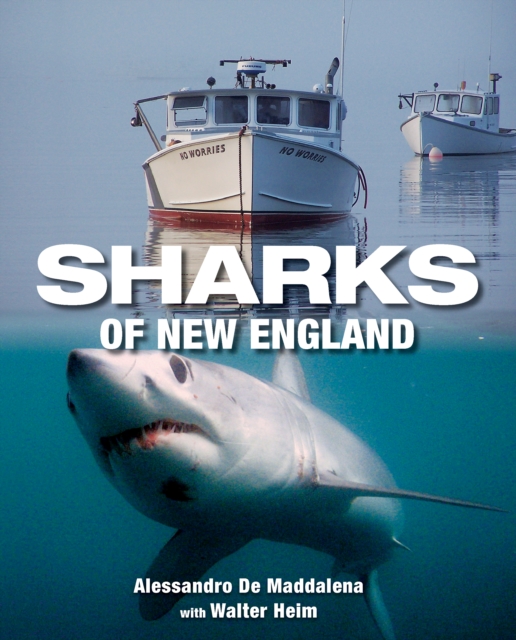 Sharks of New England, EPUB eBook