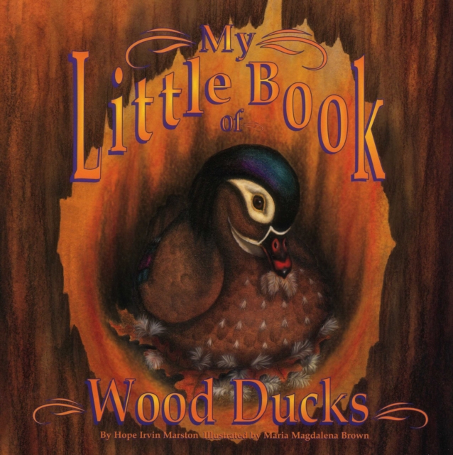 My Little Book of Wood Ducks, Paperback / softback Book