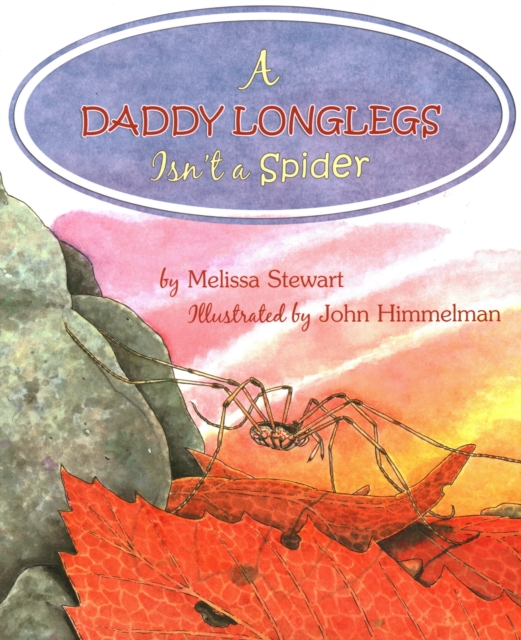 A Daddy Longlegs Isn't a Spider, Paperback / softback Book