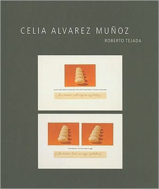 Celia Alvarez Munoz, Hardback Book