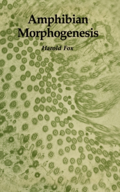 Amphibian Morphogenesis, Hardback Book