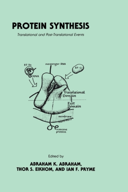 Protein Synthesis : Translational and Post-Translational Events, Hardback Book