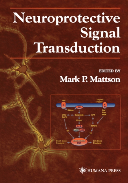 Neuroprotective Signal Transduction, Hardback Book