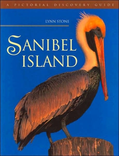Sanibel Island, Paperback / softback Book