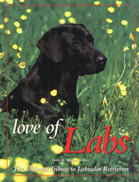 Love of Labs : The Ultimate Tribute to Labrador Retrievers, Paperback / softback Book