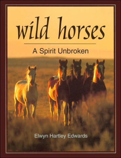Wild Horses : A Spirit Unbroken, Paperback / softback Book