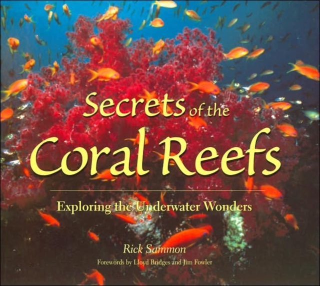 Secrets of the Coral Reefs : Exploring the Underwater Wonders, Paperback / softback Book
