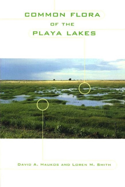 Common Flora of the Playa Lakes, Paperback / softback Book
