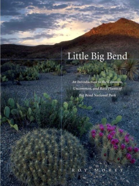 Little Big Bend : Common, Uncommon, and Rare Plants of Big Bend National Park, Paperback / softback Book