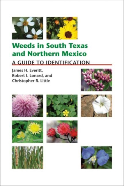 Weeds in South Texas and Northern Mexico : A Guide to Identification, Paperback / softback Book