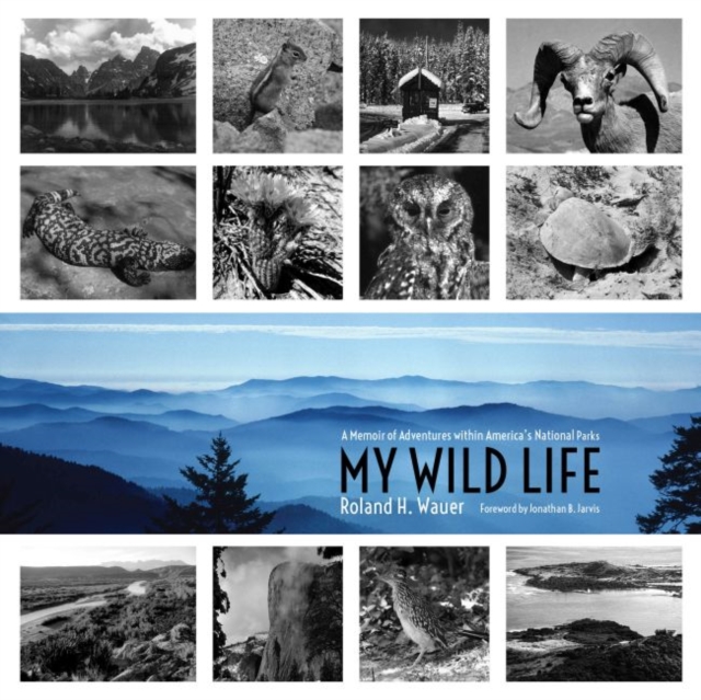 My Wild Life : A Memoir of Adventures within America's National Parks, Paperback / softback Book