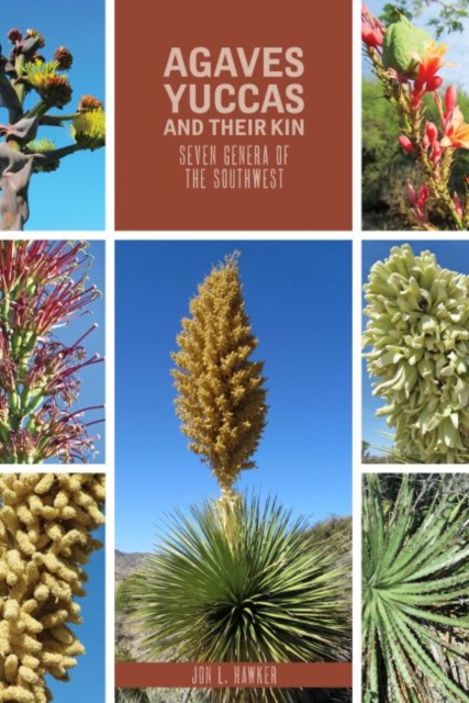 Agaves, Yucca, and Their Kin : Seven Genera of the Southwest, Paperback / softback Book