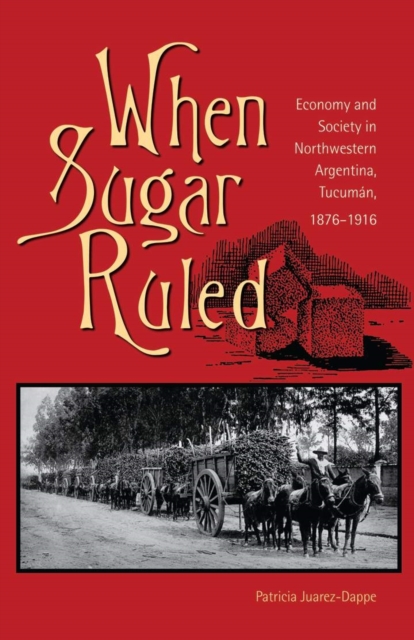 When Sugar Ruled : Economy and Society in Northwestern Argentina, Tucuman, 1876-1916, Paperback / softback Book