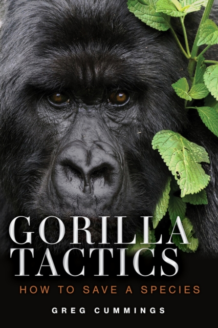 Gorilla Tactics : How to Save a Species, Hardback Book
