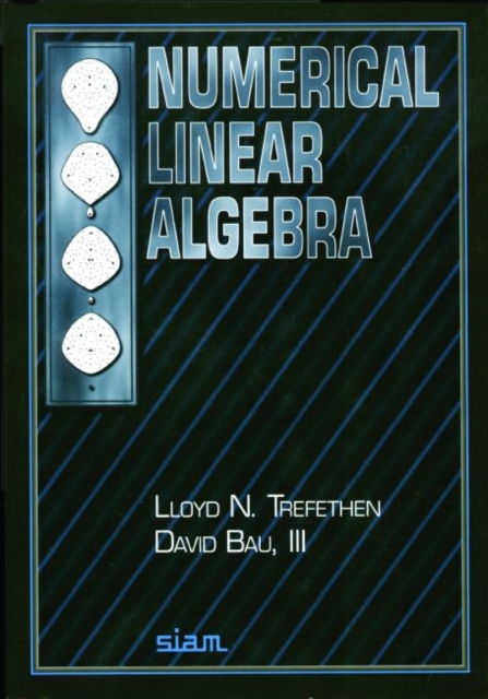 Numerical Linear Algebra, Paperback Book