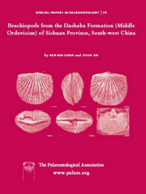 Special Papers in Palaeontology, Brachiopods from the Dashaba Formation (Middle Ordovician) of Sichuan Province, south-west China, Paperback / softback Book