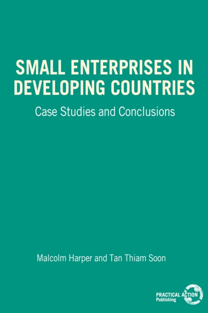 Small Enterprises in Developing Countries, Paperback / softback Book