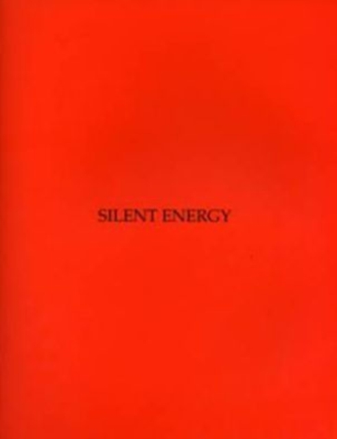 Silent Energy : New Art from China, Paperback / softback Book