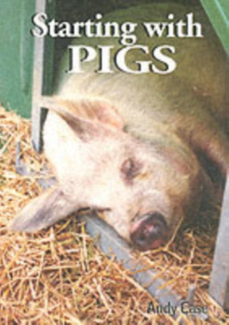Starting with Pigs : A Beginners Guide, Paperback Book