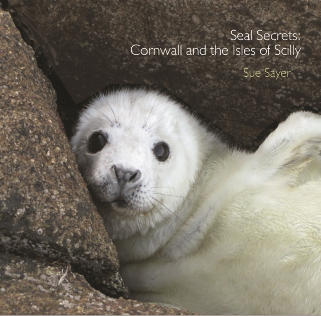 Seal Secrets : Cornwall and the Isles of Scilly, Paperback / softback Book