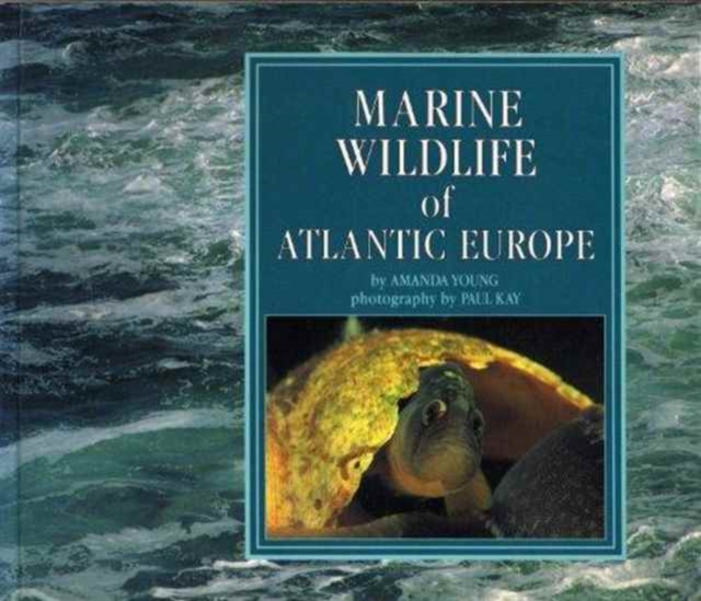 Marine Wildlife of Atlantic Europe, Paperback Book