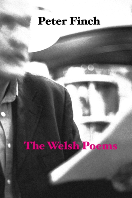 The Welsh Poems, Paperback / softback Book