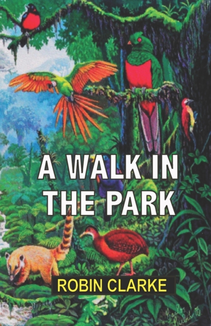 A Walk in the Park, Paperback / softback Book