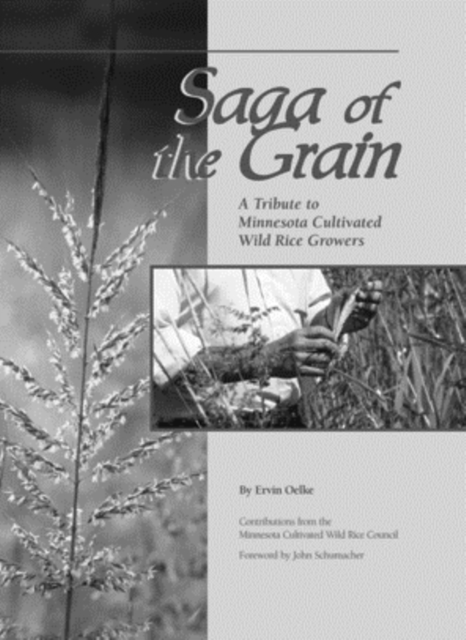 Saga of The Grain : A Tribute to Minnesota Cultivated Wild Rice Growers, Hardback Book