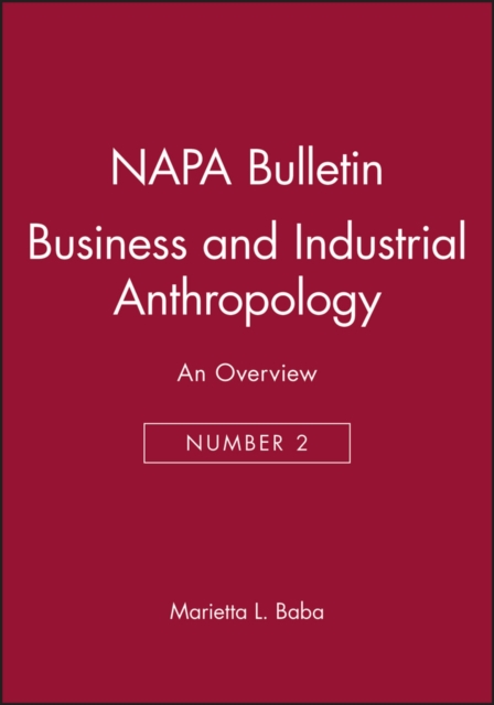 Business and Industrial Anthropology : An Overview, Paperback / softback Book