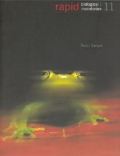 Peru : Yavari, Paperback / softback Book