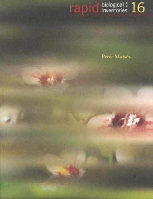 Peru : Matses, Paperback / softback Book