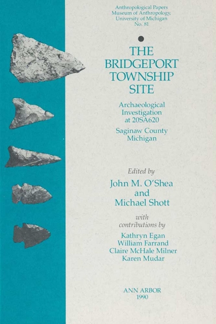 The Bridgeport Township Site : Archaeological Investigation at 20SA620, Saginaw County, Michigan, Paperback / softback Book